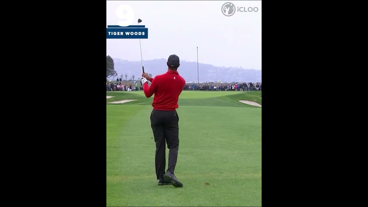 私タイガーウッズだよ! （チャンネル登録すると素晴らしい映像がもっと早くみられます。）