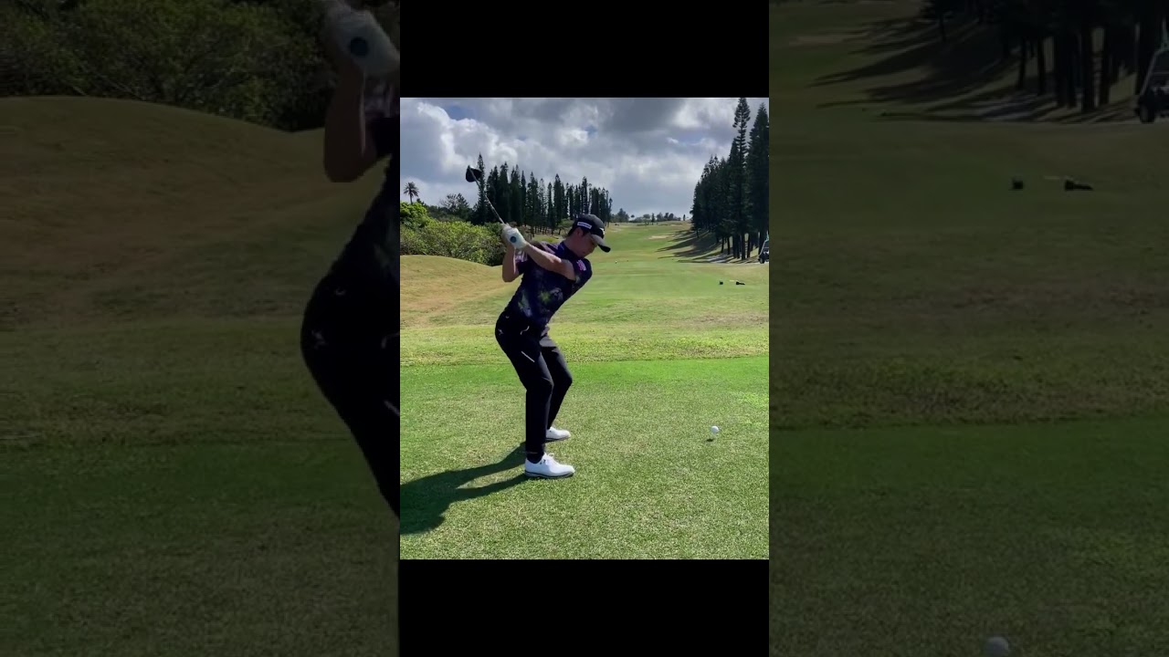 平田憲聖 Kensei Hirata 히라타 켄세이