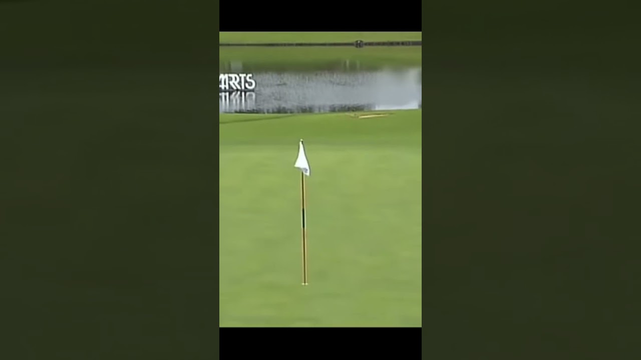 58歳でこの振り😱中嶋常幸プロの58歳の時のアイアンショット✨ #golf #ゴルフ #ゴルフスイング #アイアンショット #中嶋常幸