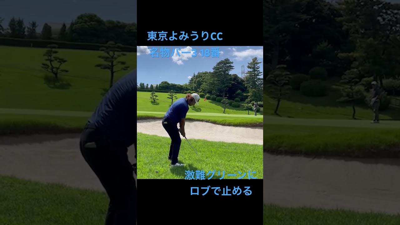 高難度グリーンに奇跡のロブショット成功😊@東京よみうりCC 18番パー3  #マスダゴルフ　#M425ウェッジ　#アプローチに不調はない
