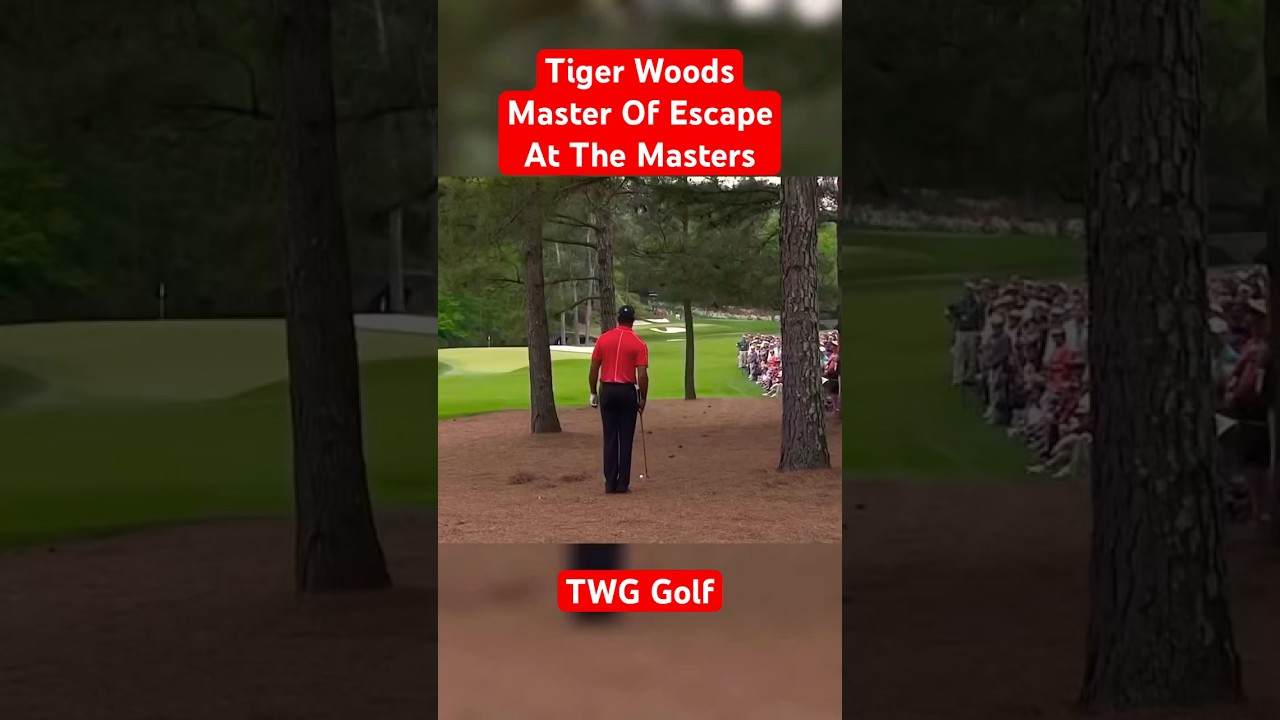 Tiger Woods is the master of escape!Check out my lates upload,match play vs Rey! Link in Description