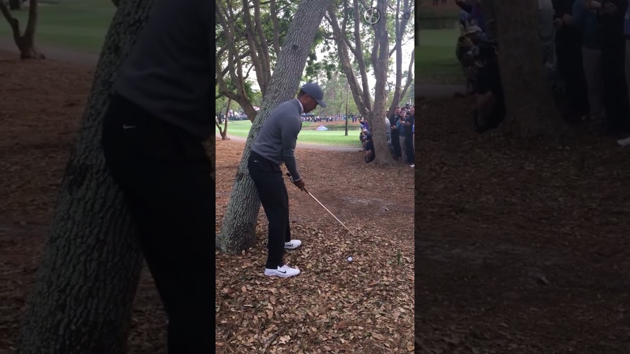 この状況をタイガーウッズはどう乗りこえていくのでしょうか　（チャンネル登録すると素晴らしい映像がもっと早くみられます。）