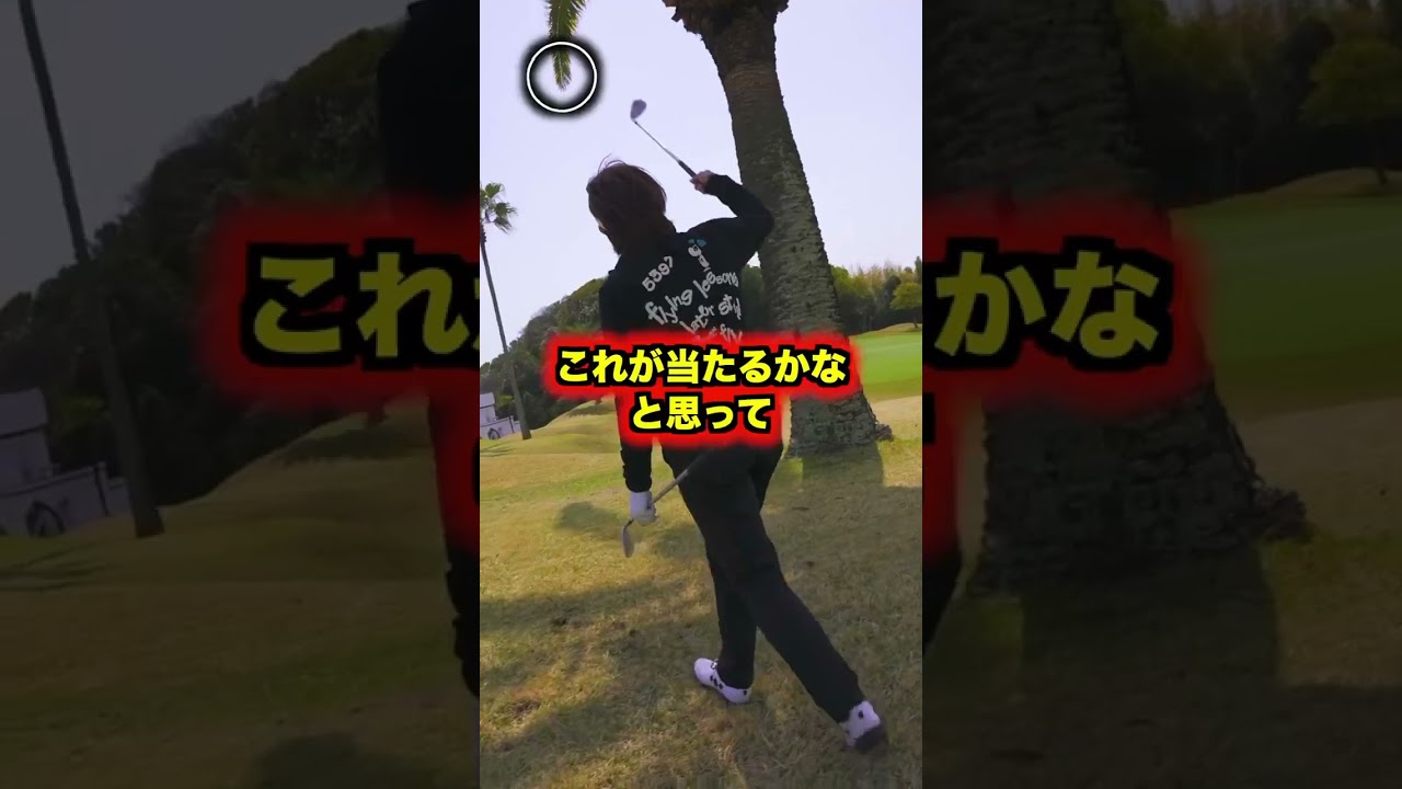 障害物の木VS福嶋プロ　#shorts #福嶋晃子 #ゴルフ #プロゴルファー #golf