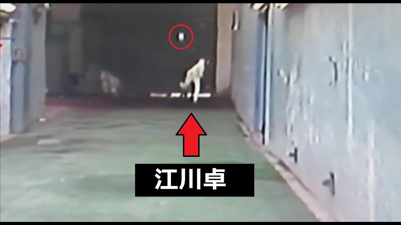 江川卓の投球練習！伸びのある速球が凄い！