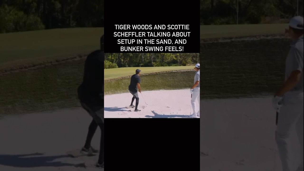 #belighte #tiger #golfcourse #trump #golfcartlife #tigerwoods  #golfing #playinggolf #golfcourses