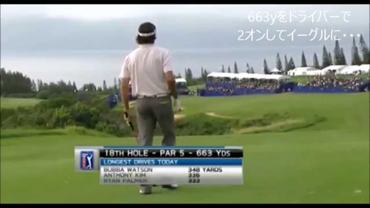 663yをドライバーで2オンしてイーグルに・・・ バッバワトソン