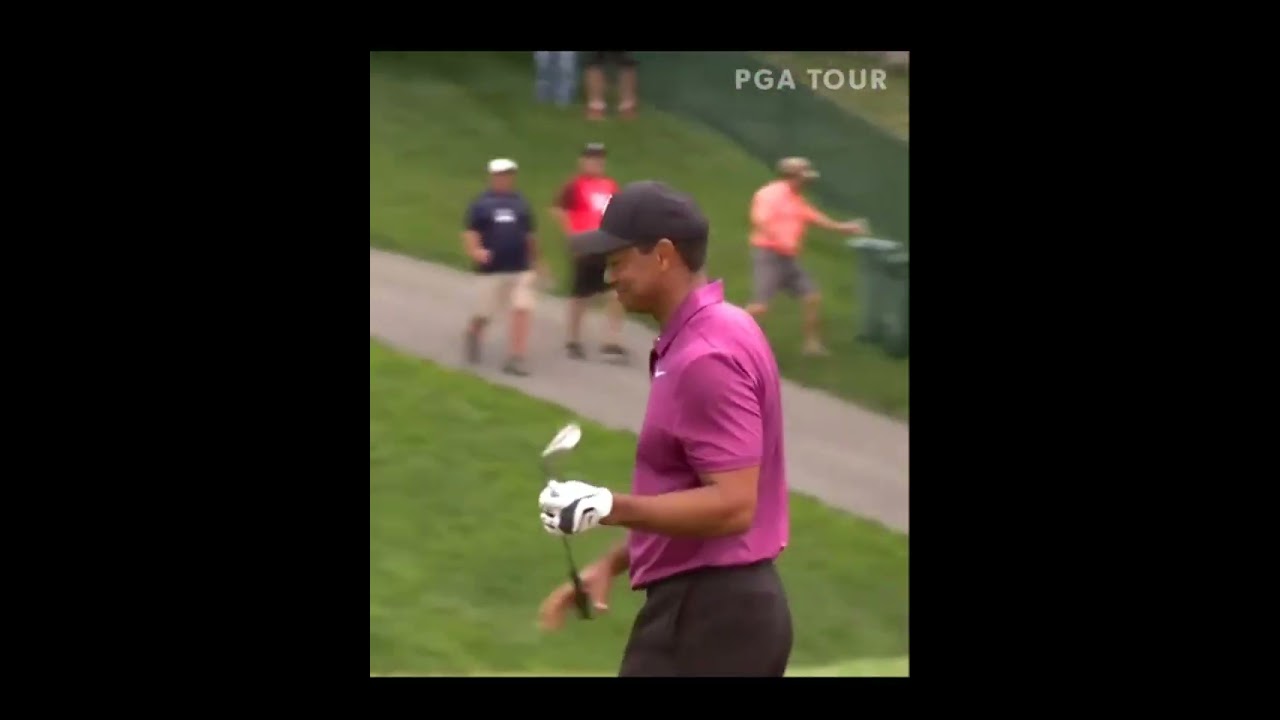 皇帝の品格 （チャンネル登録すると素晴らしい映像がもっと早くみられます。）