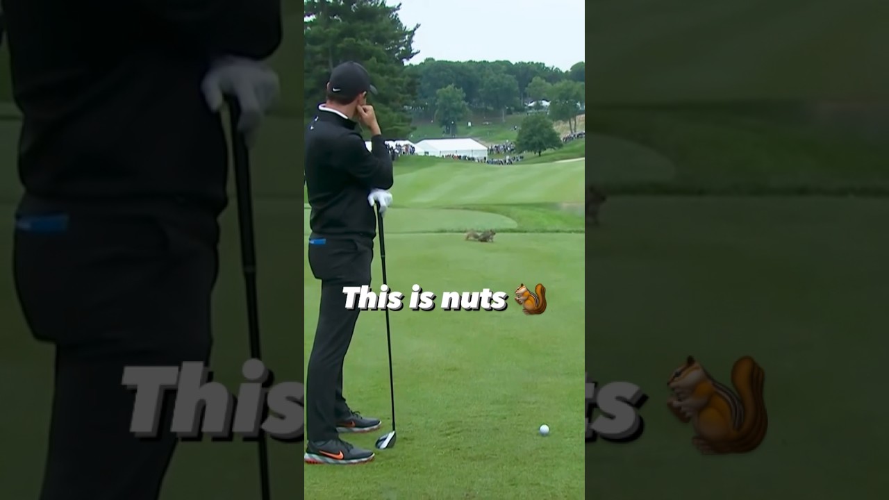 Things got a little squirrelly for Rory here 🐿️