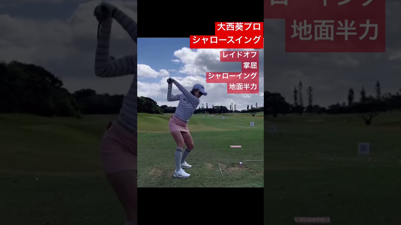 大西葵 シャロースイング #golf #golfswing #ゴルフ #ゴルフスイング #ゴルフレッスン
