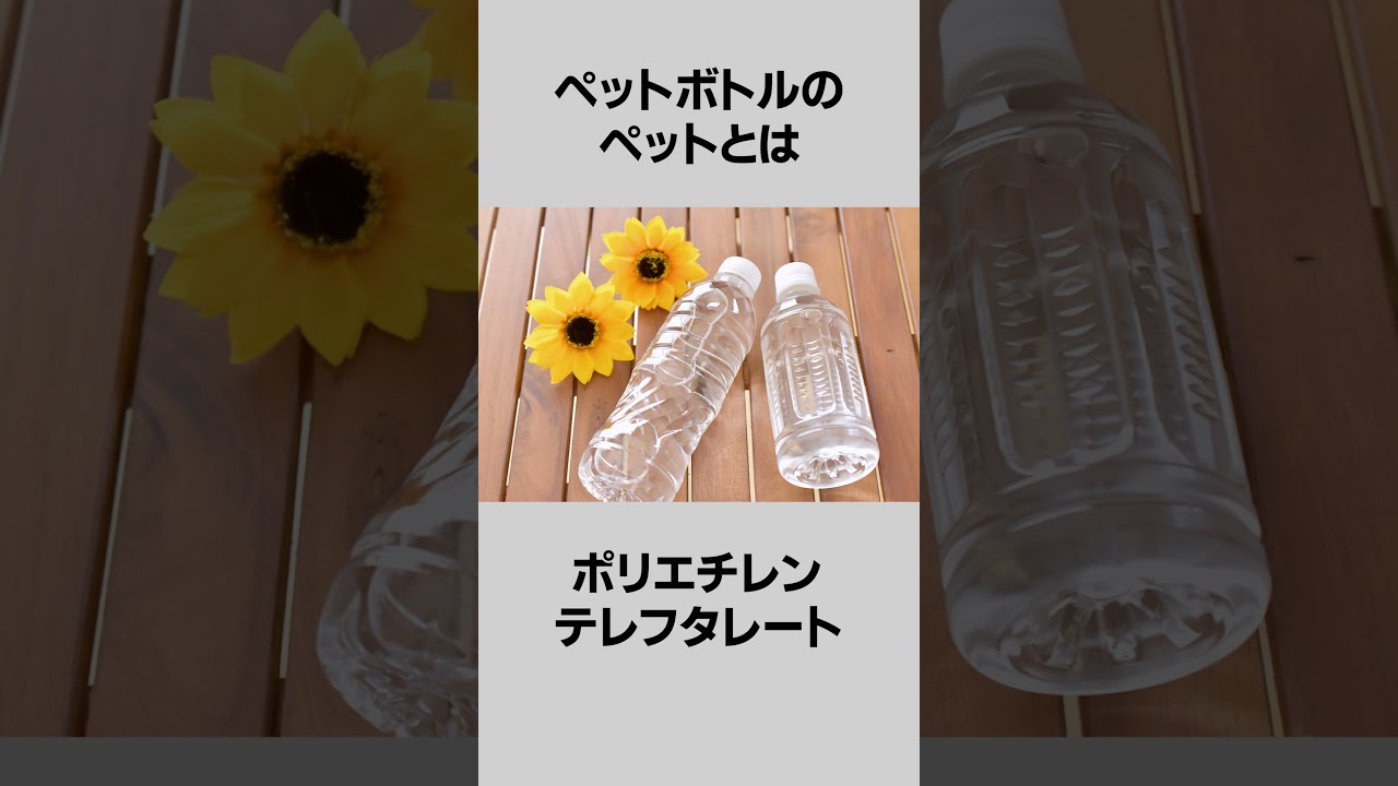 タイガーウッズ初のホールインワンは〇歳【雑学】