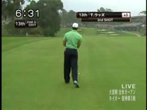 タイガーウッズのスペシャルショット