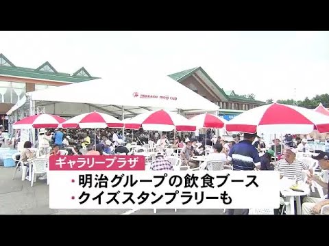 楽しいのは”観戦だけじゃない！明治グループのカレーやアイスも楽しめる『北海道 ｍｅｉｊｉ カップ』2日目も熱戦続く… (23/08/05 12:00)