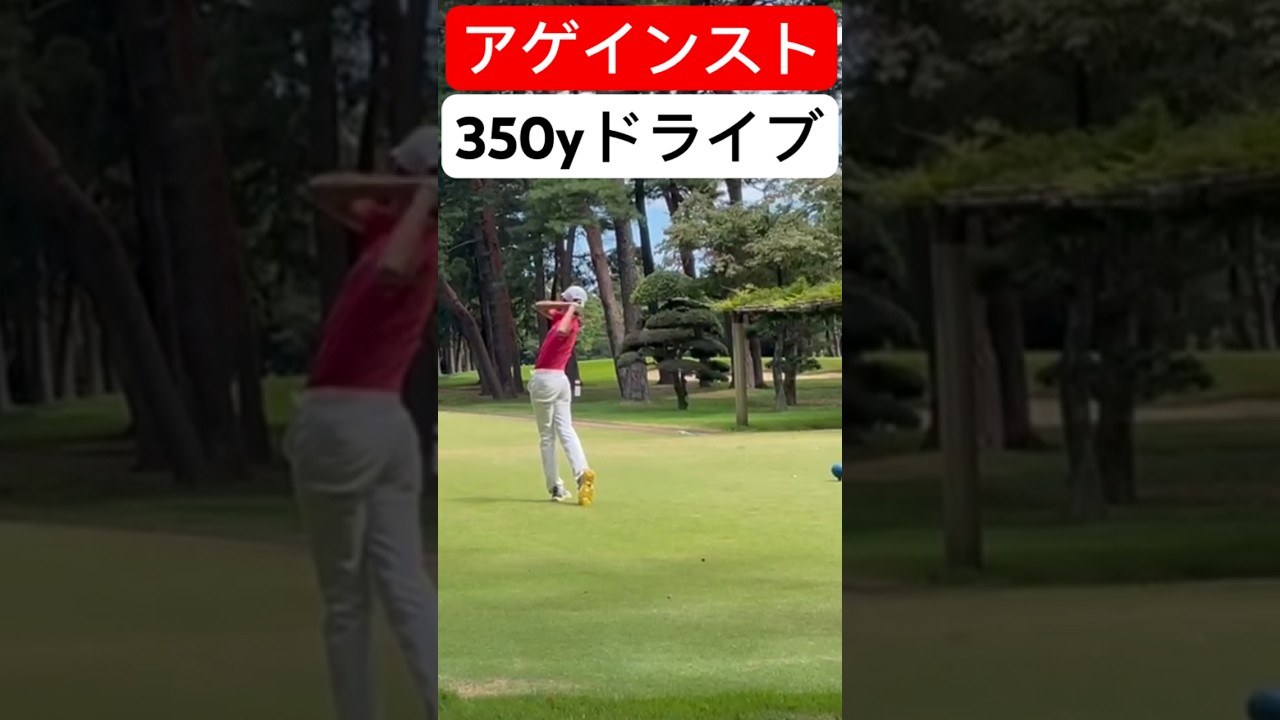 アゲインストにも関わらず【デシャンボー】並に飛ばす350xドライブ#ごるふ #shorts
