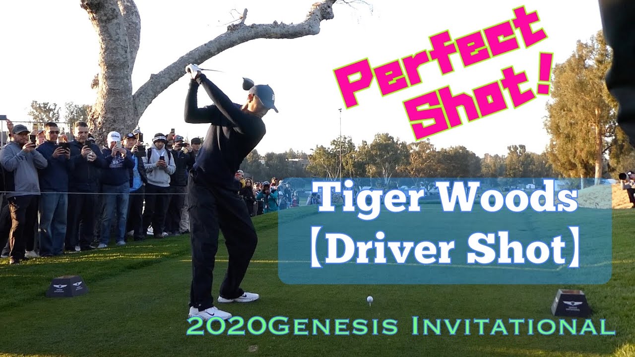 Tiger Woods タイガー・ウッズ〈DriverShot【Kisshi  Golf TV】(World  Golf Swing Channel and koraboreshon)