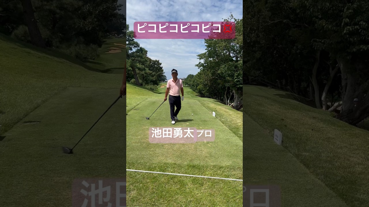撮影音のタイミングに不機嫌になる池田勇太プロ #shorts #golf #ゴルフ #男子プロ