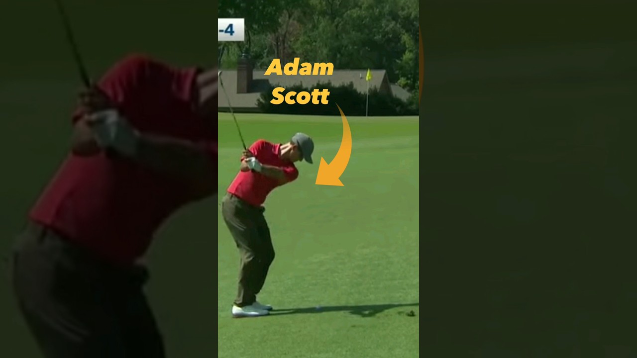 Adam Scott is on 🔥 #golf