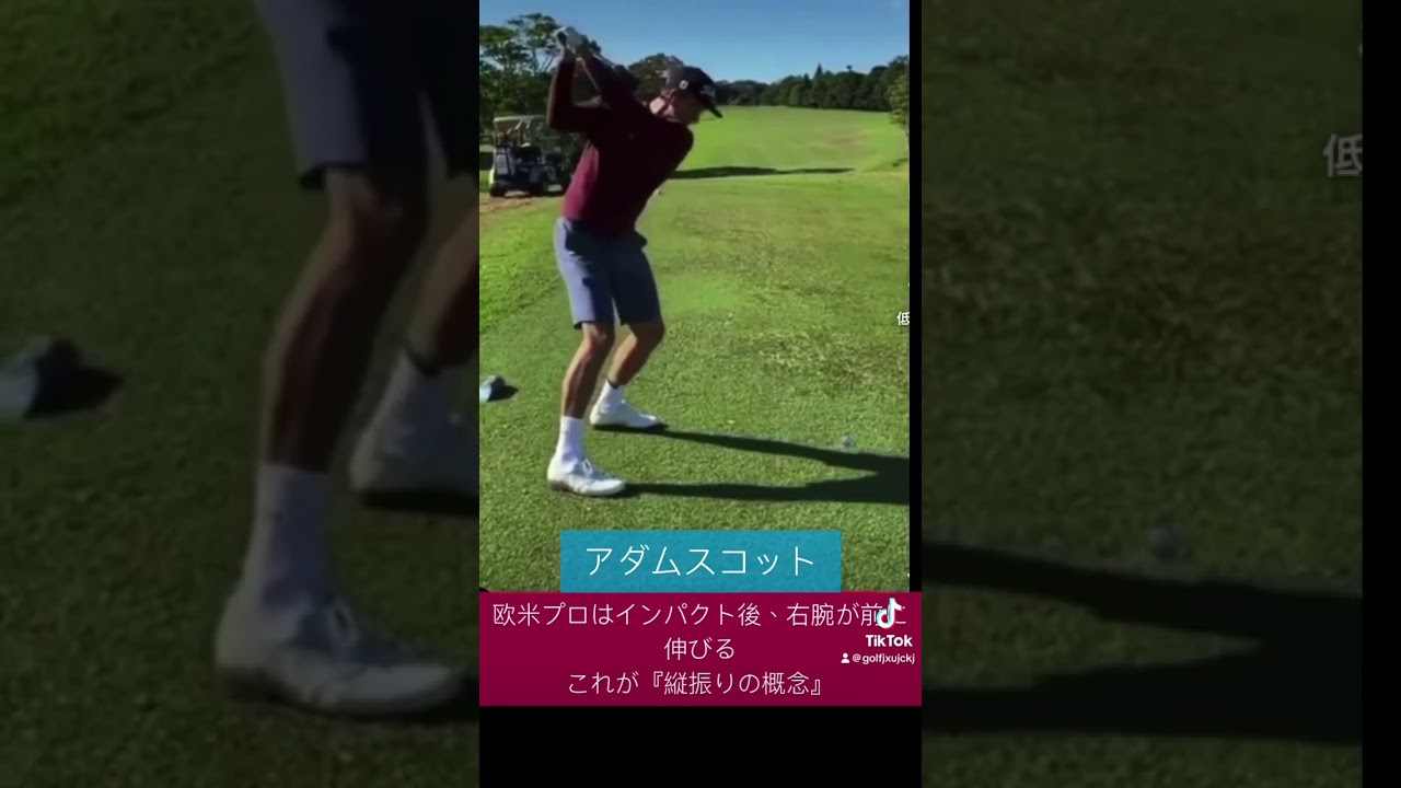 欧米プロ『日本のレッスンプロは何で左❓普通は前だろ‼️』 #golf #golfswing #golftips #ゴルフ #ゴルフスイング #ゴルフレッスン #ゴルフ初心者 #タイガーウッズ