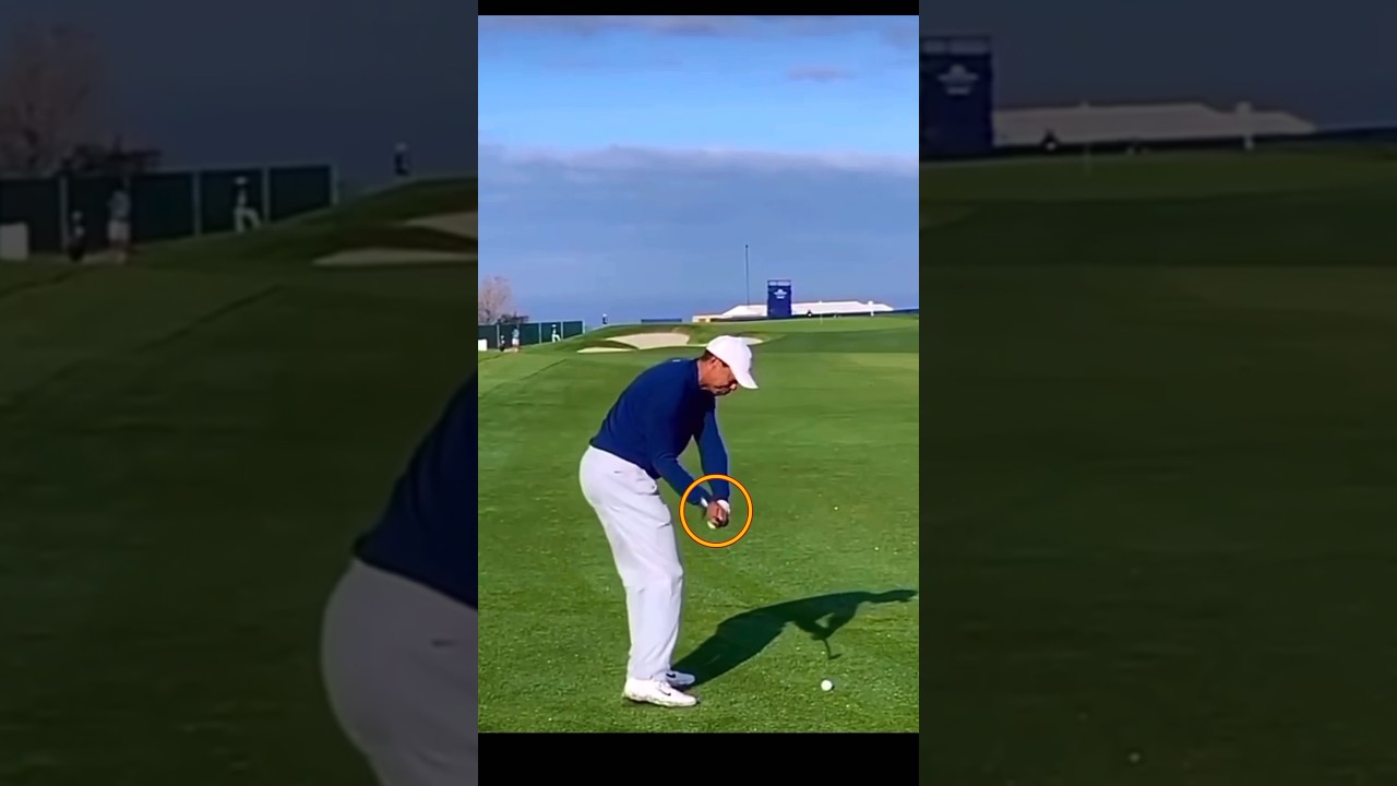 【タイガー・ウッズ】スイング分析