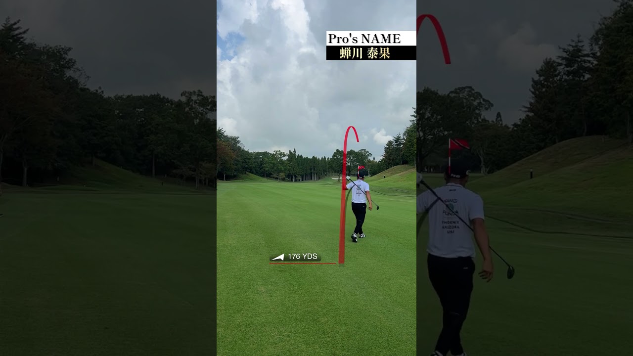 プロゴルファーの1ホール#shorts #golf #ゴルフ