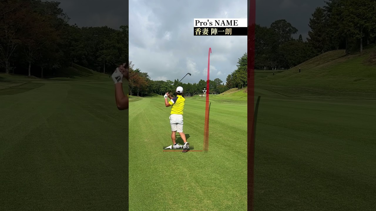 プロゴルファーの1ホール#shorts #golf #ゴルフ