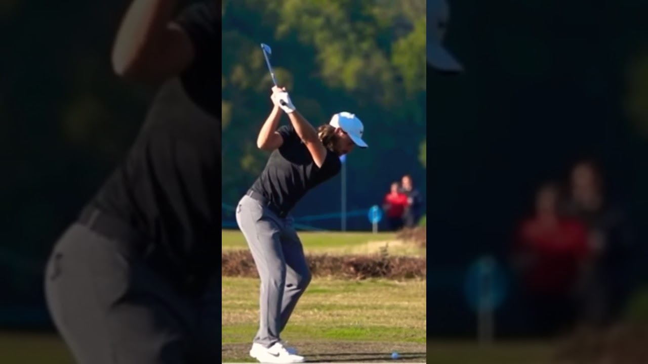 トミーフリートウッド 見て学ぶスイング