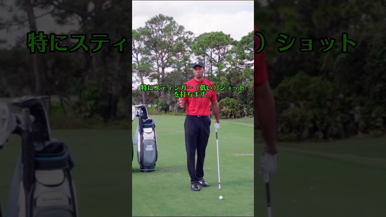 タイガーウッズがフェアウェイをミスしない為の方法！ #ゴルフ練習 #ゴルフ #アイアン飛ばし方