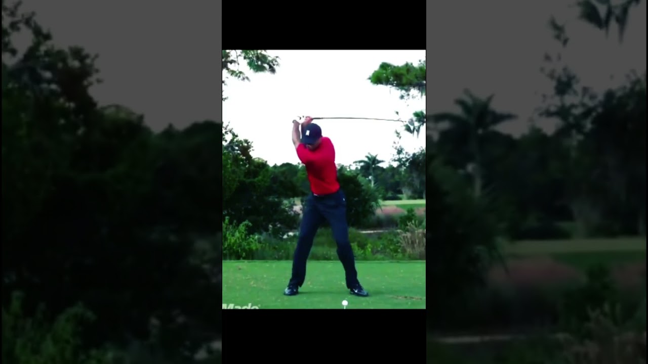 タイガーウッズ Tiger Woods