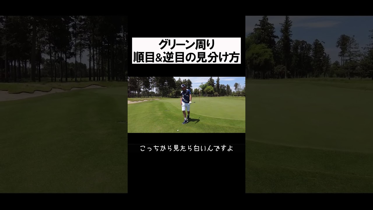 順目・逆目の見分け方 #shorts  #golf #矢野東 #男子プロ #ゴルフ