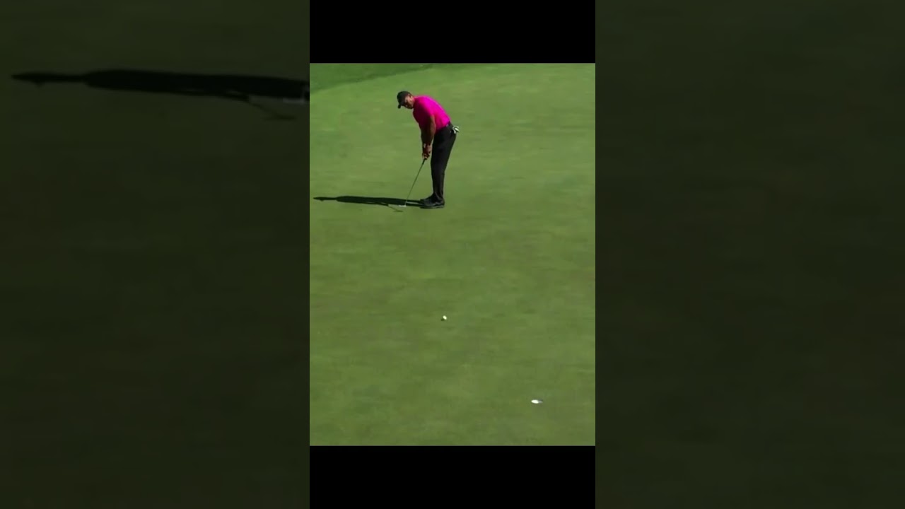 Tiger Woods タイガー・ウッズ #ショーツ #subscribe