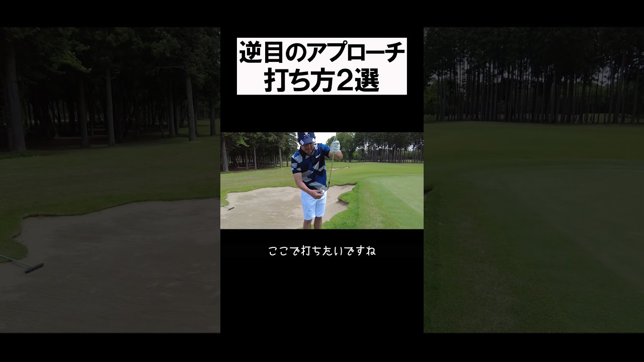 逆目の打ち方２選 #shorts  #golf #矢野東 #男子プロ #ゴルフ #アプローチ