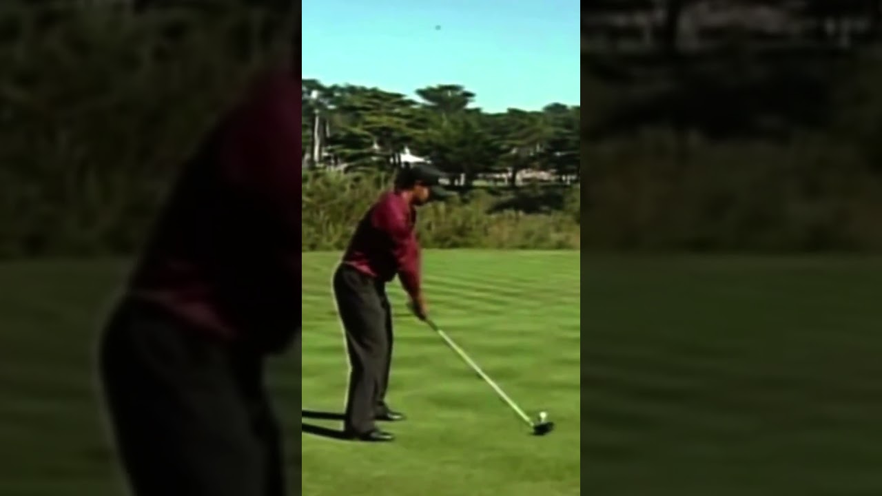 Tiger Woods タイガー・ウッズ #ショーツ #subscribe