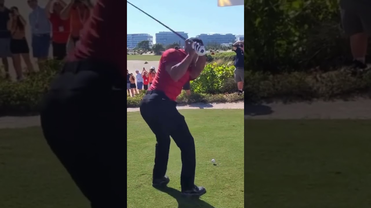 Tiger Woods in Sunday Red is back 😍 #shorts #tigerwoods #golf