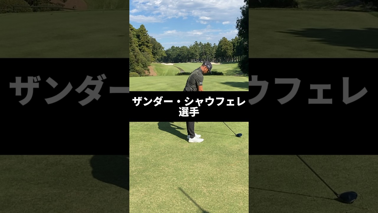 ザンダー・シャウフェレ選手のドライバーショットのスイング