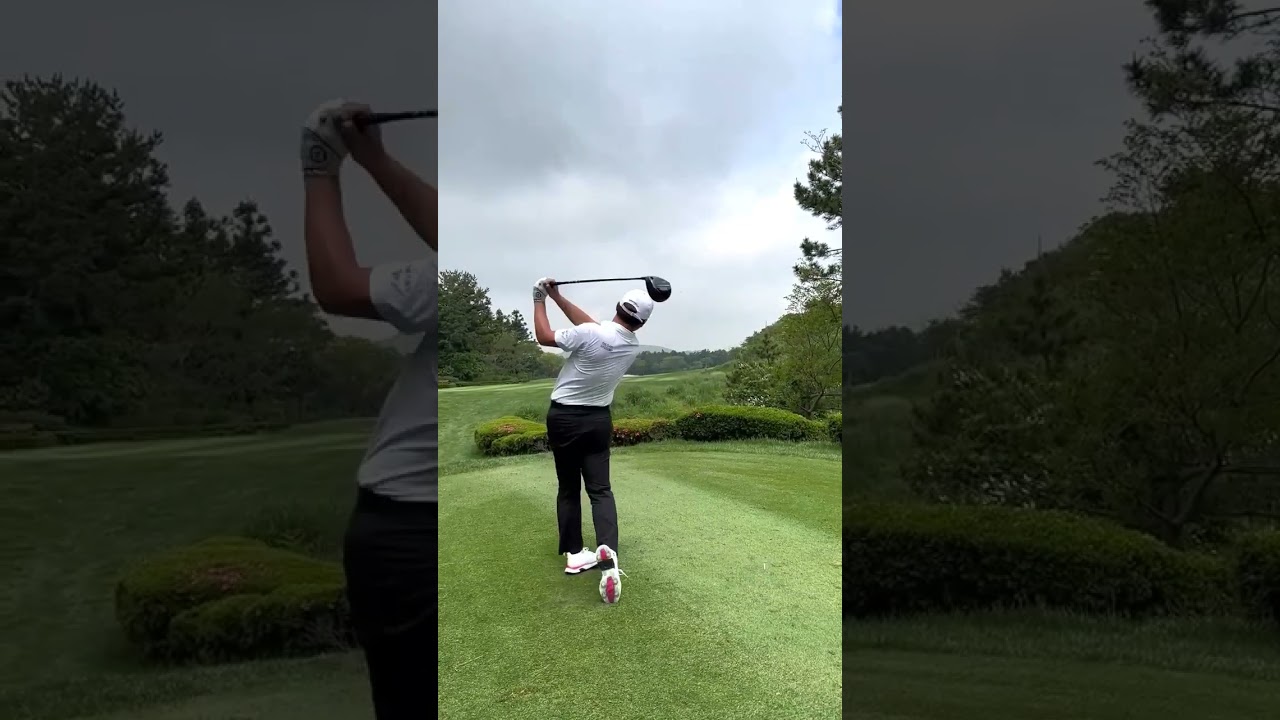 リチャード・T・リー Richard T. Lee