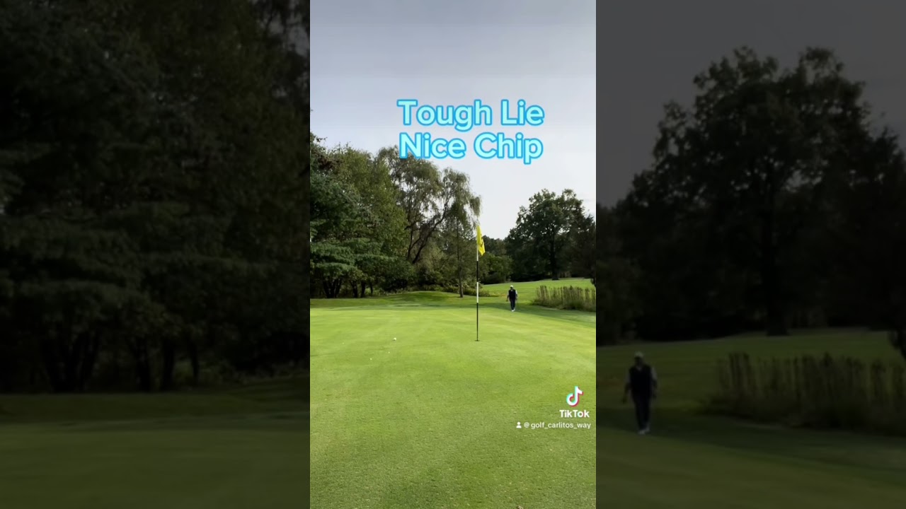 Par 3 Specialist! #shorts #youtubeshorts #trending #viral #subscribe #funny #foryou #explore #golf