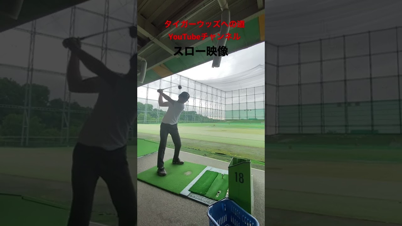 タイガーウッズへの道#golf #tigerwoods #ゴルフ #ゴルフレッスン #ゴルフスイング #タイガーウッズ #タイガーウッズへの道