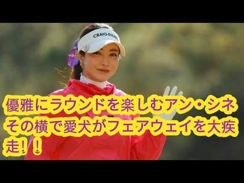 アン・シネ（韓国）が自身のインスタグラムを更新。南カリフォルニアにあるゴルフクラブ、フェアモント グランド デル マールで愛犬とともにゴルフを楽しむ様子を投稿した。