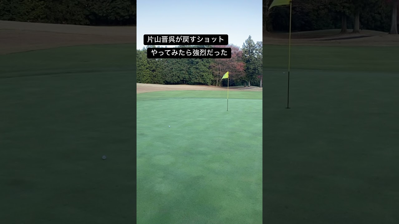 片山晋呉がバックスピンで戻してみたら強烈でした #ゴルフ #golf #片山晋呉 #shorts