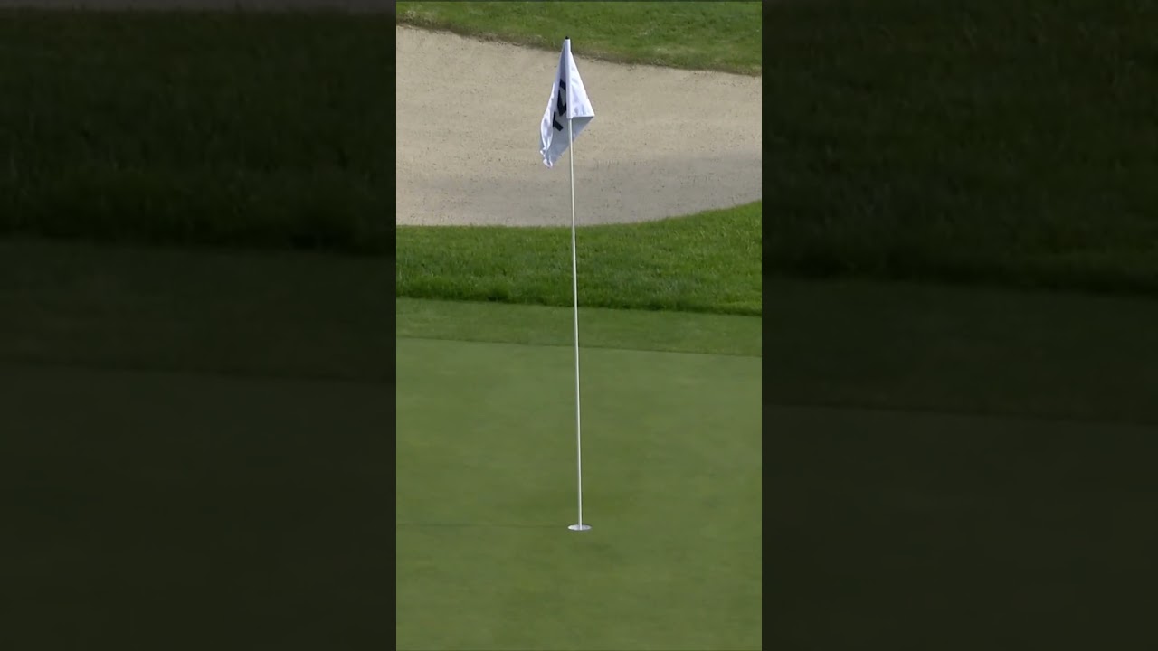 🚨 ACE ALERT 🚨 Will Zalatoris cards a 1️⃣ on Riviera's 184-yard par 3 14th hole!