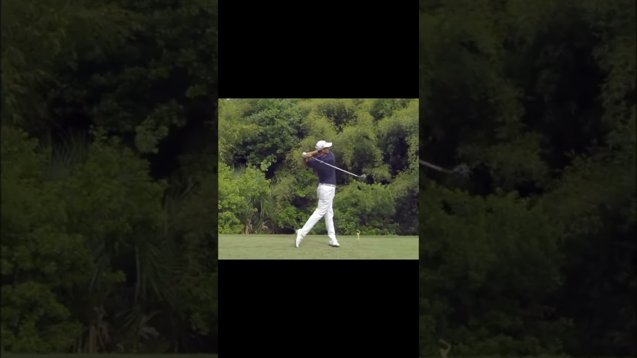 アダム・スコット Adam Scott