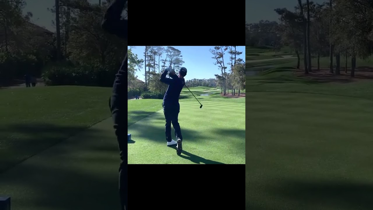 アダムスコット Adam Scott