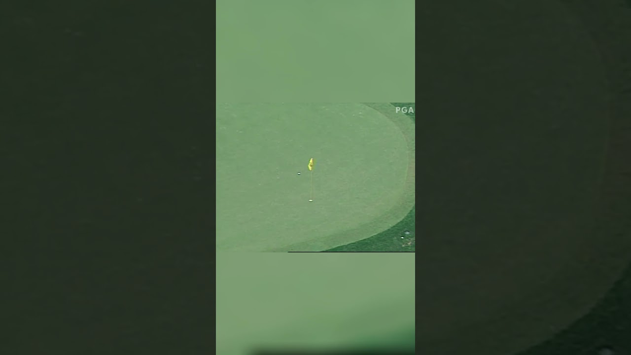 Easy for Tiger Woods!  #golf #golfer #golfswing