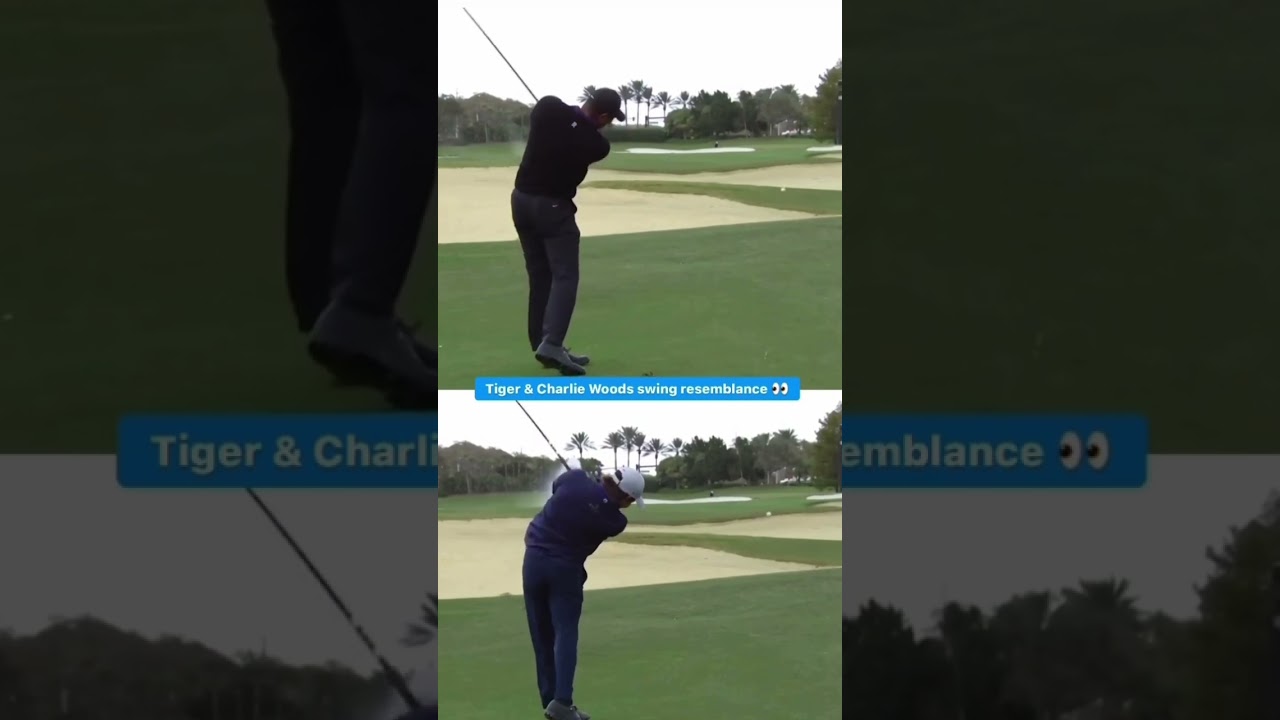 【スイング比較】タイガーと息子チャーリー君