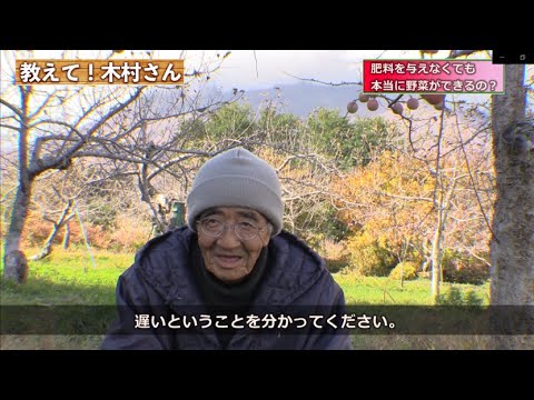 【自然栽培】肥料を与えなくても本当に野菜は育つの？【木村秋則さん】