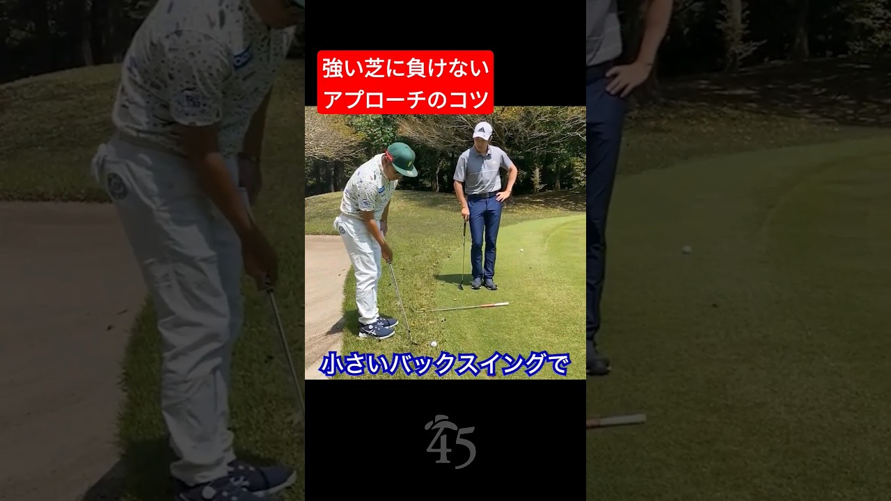 強い芝に負けないアプローチのコツ #片山晋呉 #golf #ゴルフ #shorts