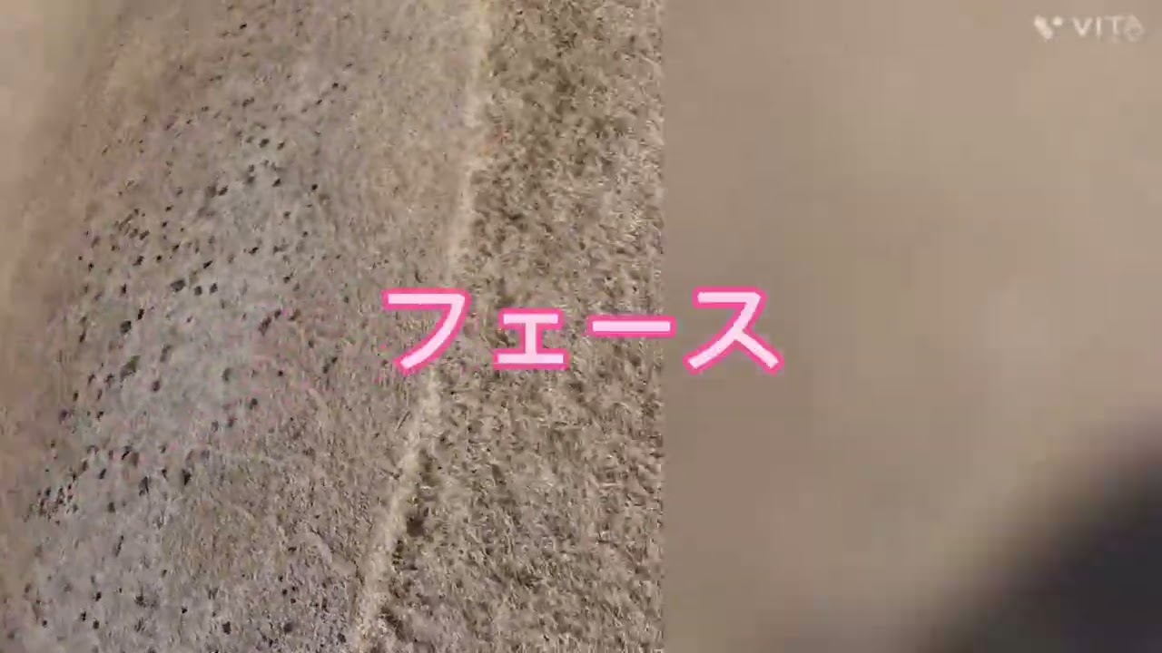 ＃76ゴルフ編⛳️🏌️‍♂️60度ロブウェッジで二段グリーン下り傾斜フォワッと止めるアプローチ練習　ショット目線