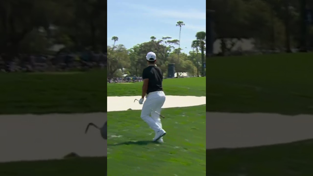 TPCソーグラス17番でホールインワン🎯⛳️【ザ・プレーヤーズチャンピオンシップ1日目】松山英樹▷マキロイ▷シャウフェレ▷フォックス