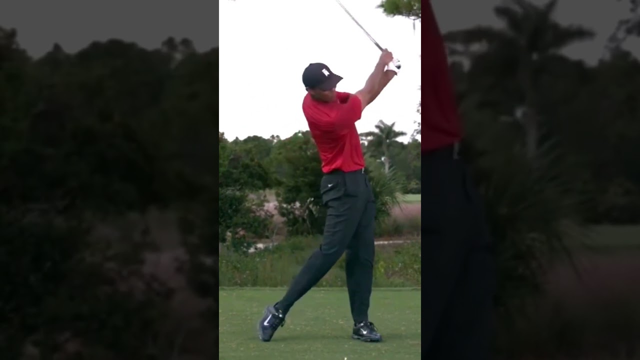 ​Tiger Woods ​タイガー・ウッズ