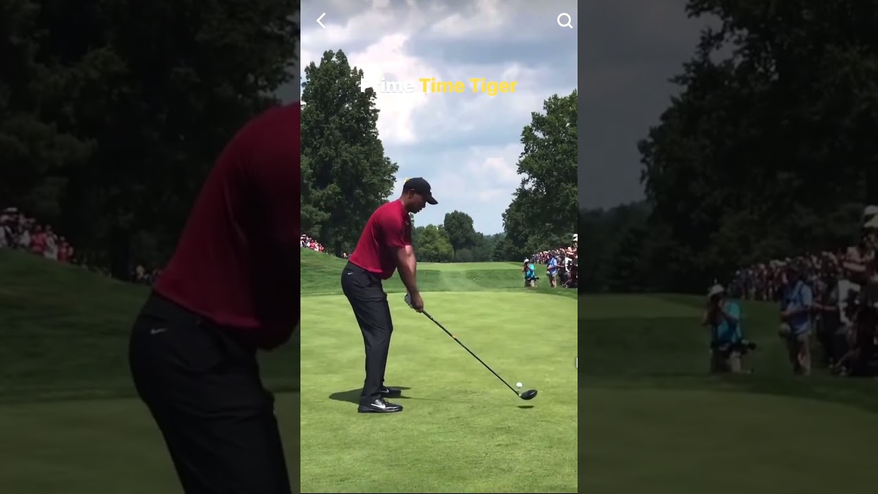 ​タイガー・ウッズ Tiger Woods