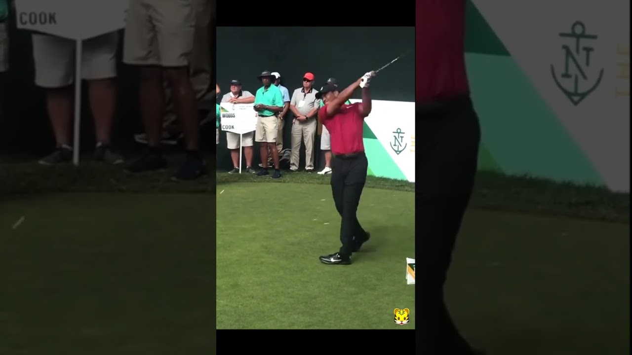 タイガー・ウッズ Tiger Woods